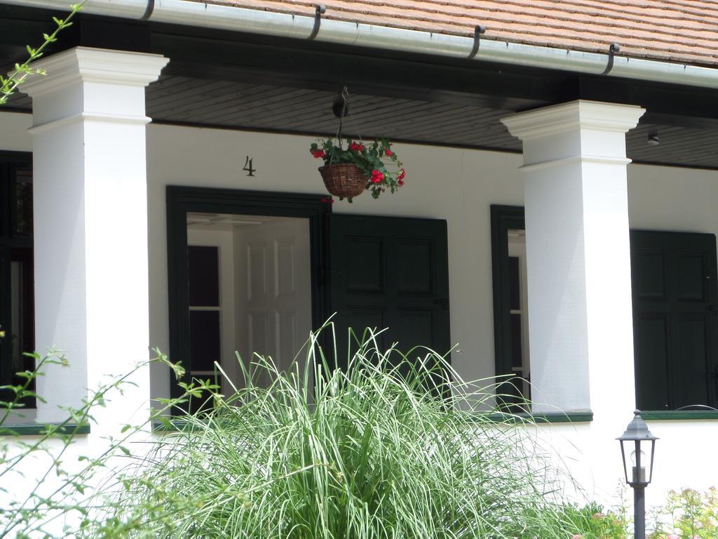 Bed and Breakfast Szin-Es Vendeghaz Сентеш Экстерьер фото